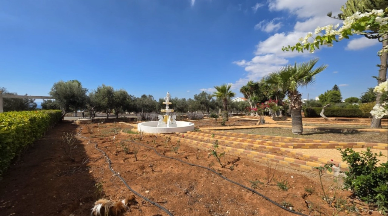 6+ Bedroom House for Sale in Famagusta – Agia Napa