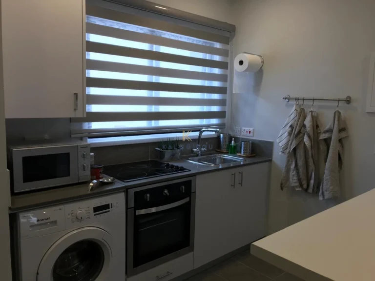 2 Bedroom House for Rent in Dhekelia, Larnaca District