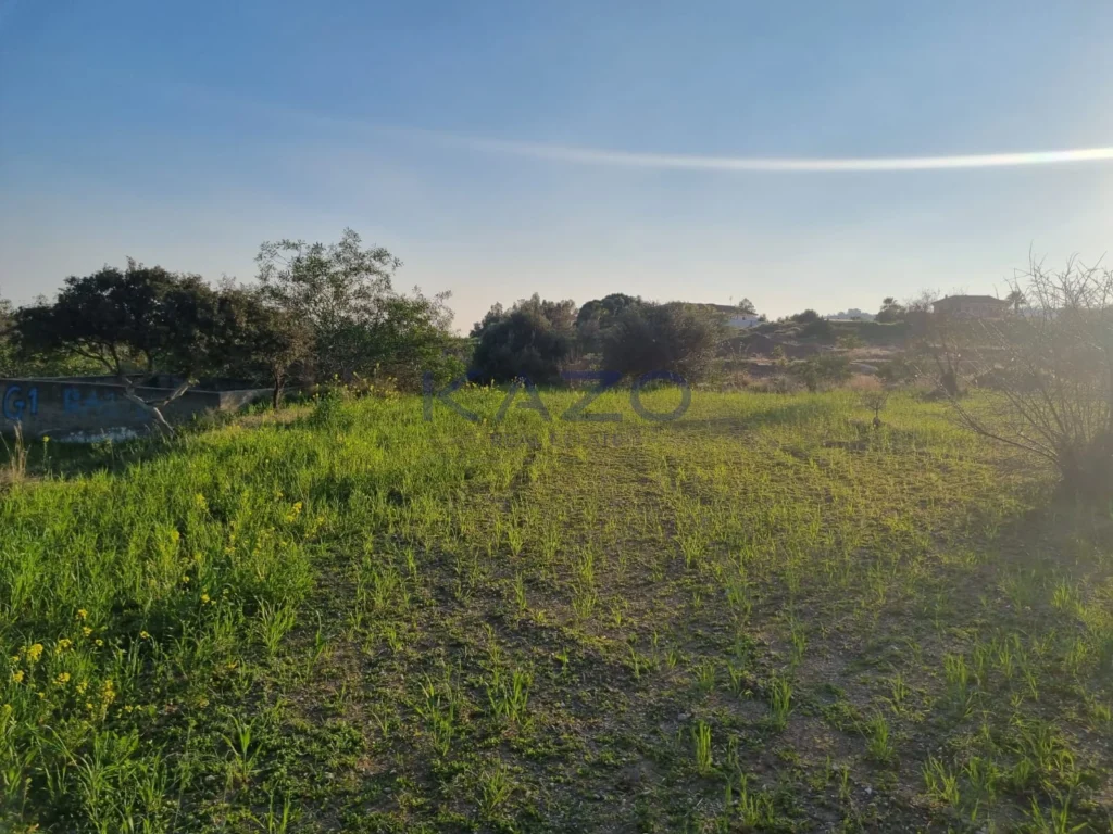9,040m² Plot for Sale in Parekklisia, Limassol District
