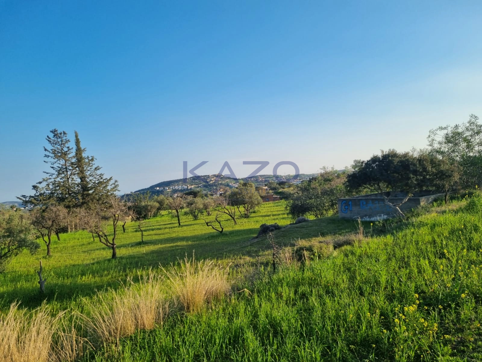 9,040m² Plot for Sale in Parekklisia, Limassol District