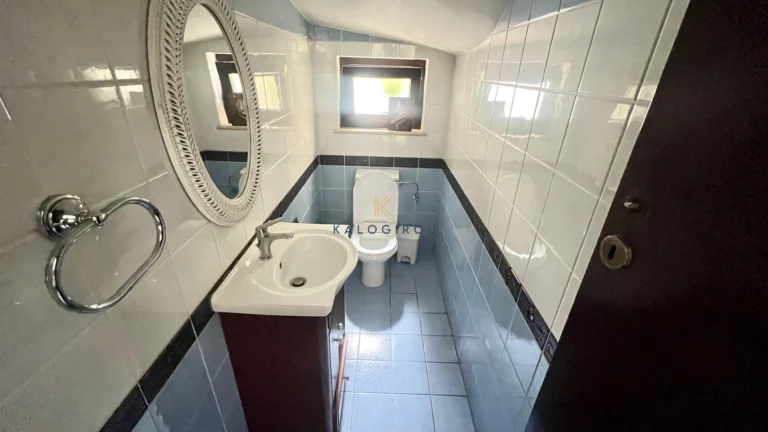 304m² House for Rent in Drosia, Larnaca District