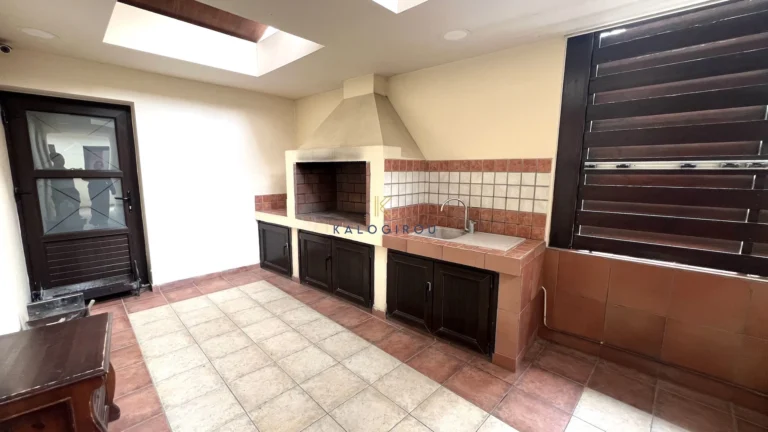 304m² House for Rent in Drosia, Larnaca District