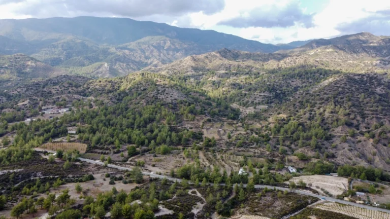 25,284m² Plot for Sale in Agios Mamas, Limassol District