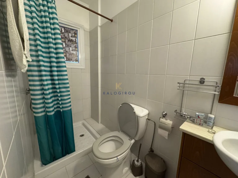 1 Bedroom Apartment for Rent in Larnaca District