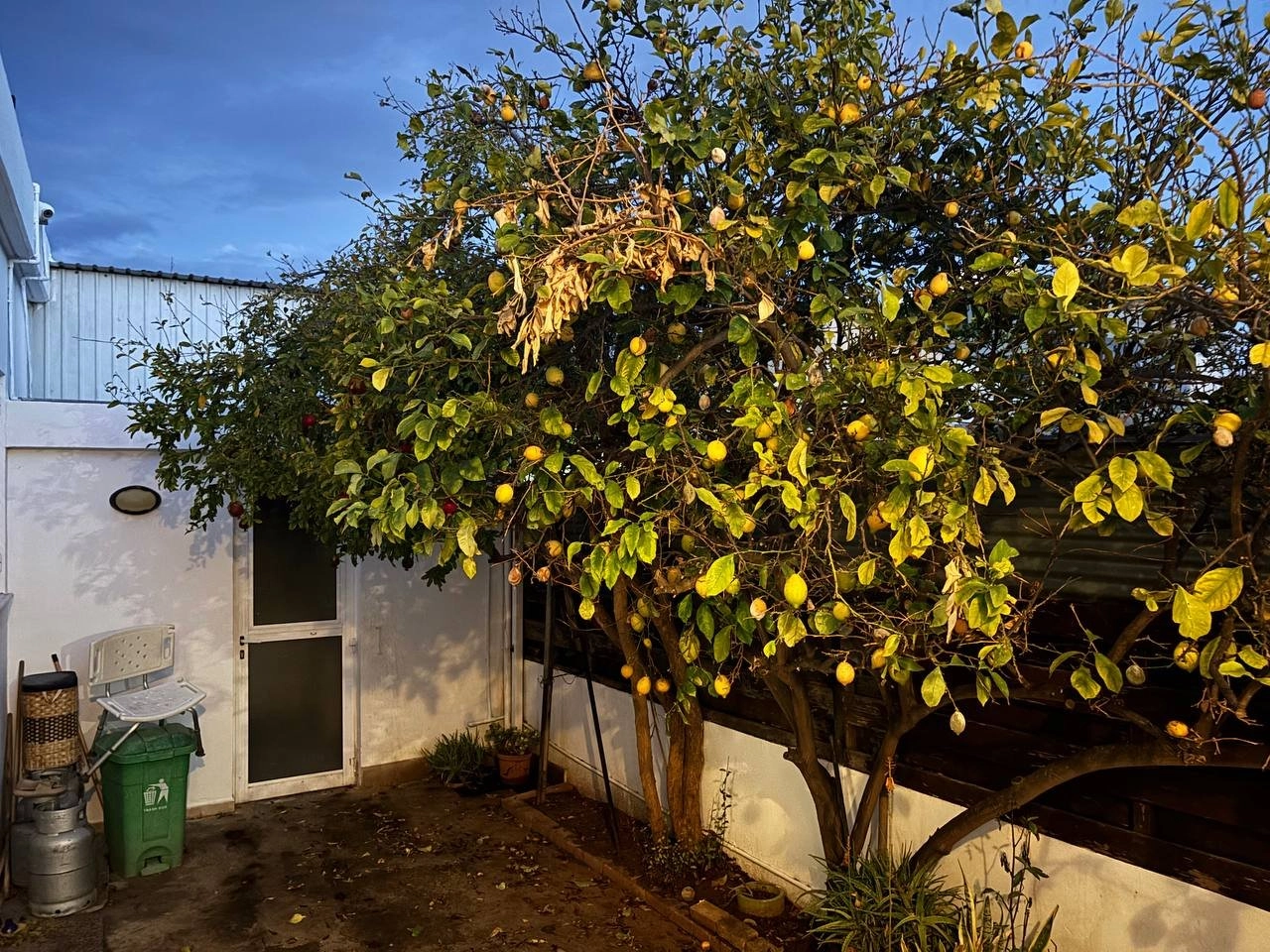 2 Bedroom House for Rent in Limassol – Agia Fyla