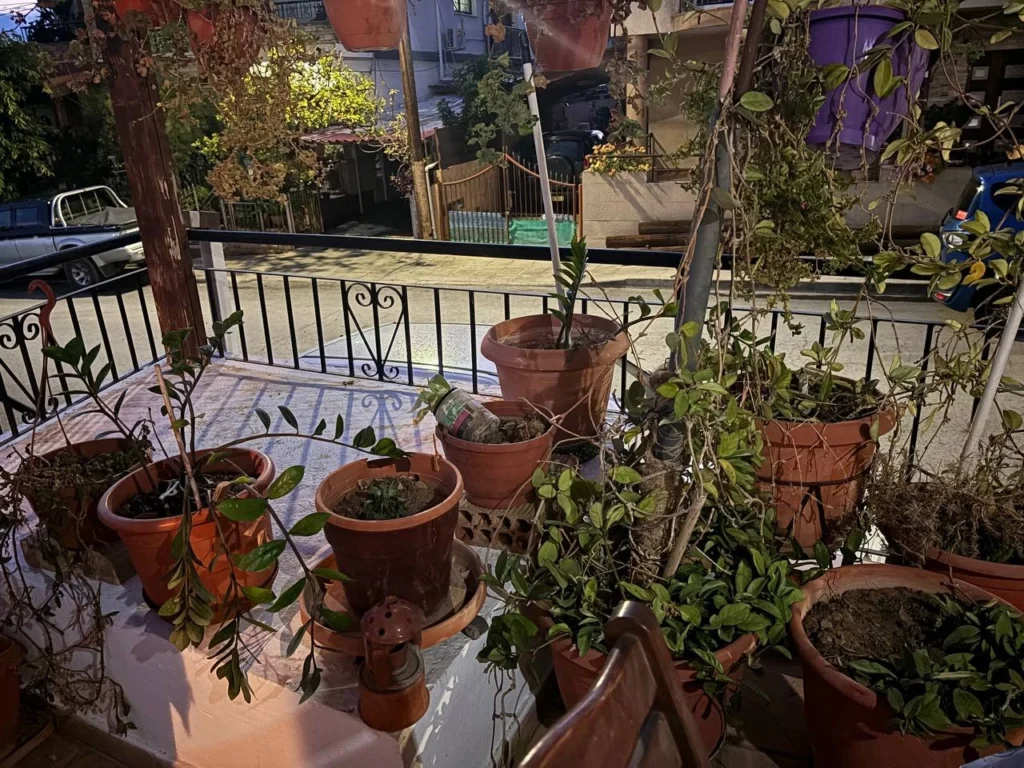 2 Bedroom House for Rent in Limassol – Agia Fyla