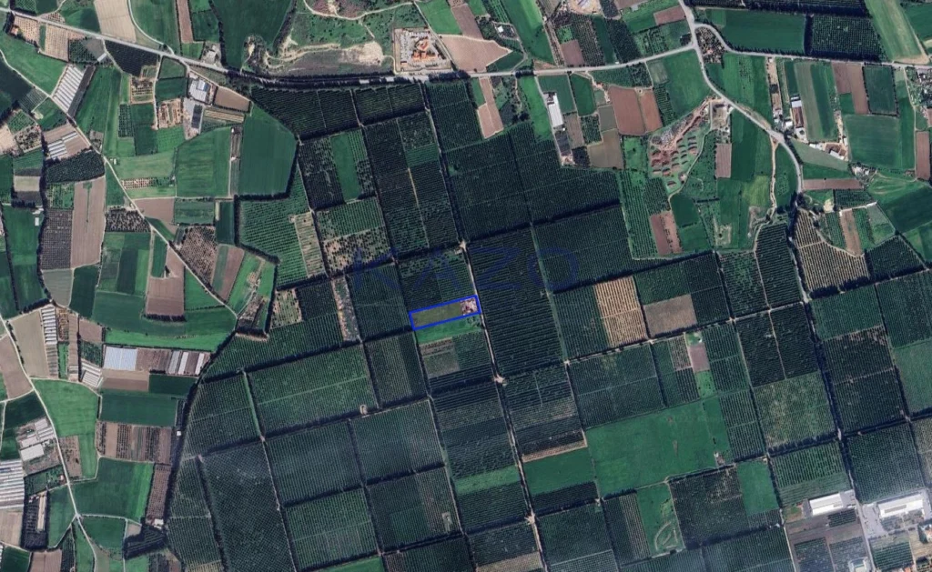 9,999m² Plot for Sale in Kolossi, Limassol District