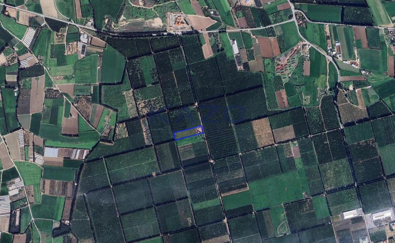 9,999m² Plot for Sale in Kolossi, Limassol District